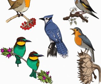 Pássaros Criaturas ícones Esboço Clássico Colorido