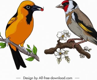 Birds Icons Colorful Tailorbird Sparrow Sketch