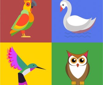 Burung Ikon Set Ilustrasi Dalam Desain Warna