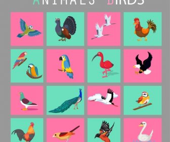 ícones De Pássaros Conjunto Isolado No Plano Estilo De Cores