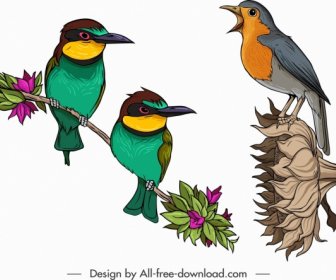 Birds Icons Sparrow Flowerpecker Sketch Colorful Design