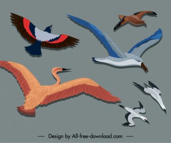 Vögel Malerei Bunte Flache Skizze Bewegung Design