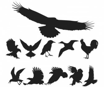 鳥類剪影向量包免費 Cdr 向量藝術