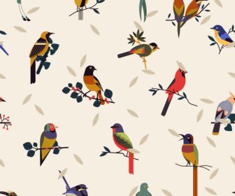 Vogelarten Hintergrund Buntes Klassisches Design