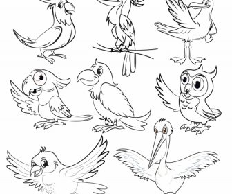 Birds Species Icons Black White Cartoon Sketch