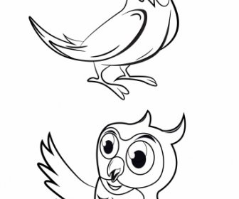 ícones Espécies De Pássaros Preto Papagaio Branco Esboço De Coruja