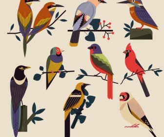 Burung Spesies Ikon Klasik Warna-warni Datar Sketsa