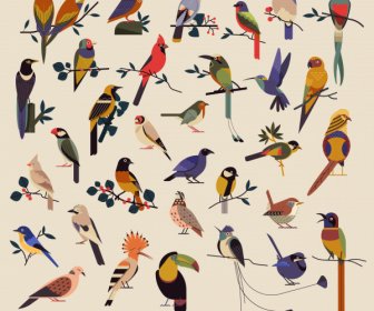 Birds Species Icons Collection Colorful Classical Sketch