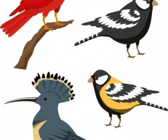Vögel Spezies Ikonen Bunte Karikatur Skizze