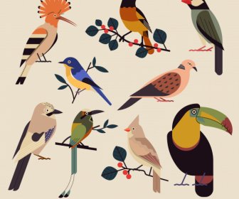 Birds Species Icons Colorful Classical Design
