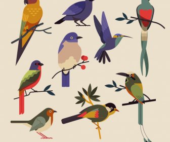 Birds Species Icons Colorful Classical Sketch