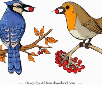 Pássaros Espécie ícones Colorido Clássico Esboço Gesto De Empoleiramento