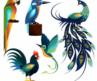 Aves Especies Iconos Colorido Bosquejo Plano