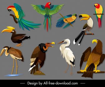 Aves Especies Iconos Colorido Bosquejo