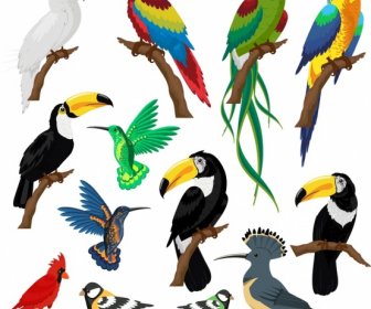 Birds Species Icons Colorful Sketch -2