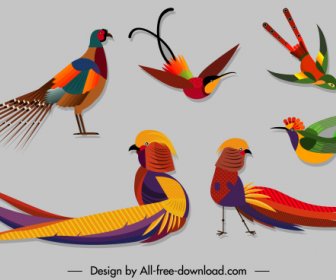 Birds Species Icons Colorful Sketch Modern Design