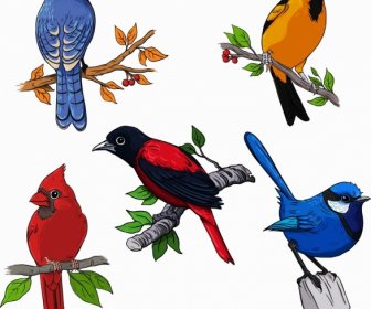 Birds Species Icons Colorful Sketch Perching Gesture