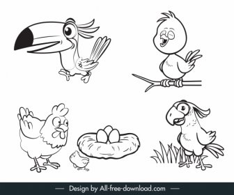 Birds Species Icons Cute Handdrawn Cartoon Sketch