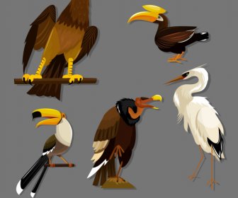 Vögel Arten Ikonen Adler Toucan Storch Geier Skizze