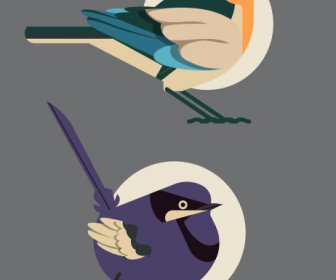 birds species icons flat classic sketch