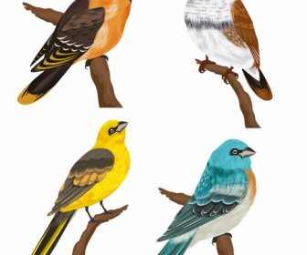 Pássaros Espécie ícones Empoleirado Esboço Colorido Desenho Animado