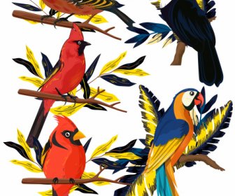 Birds Species Icons Perching Sketch Colorful Classic Design