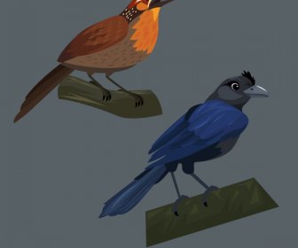 Birds Species Icons Raven Magpie Sketch Cartoon Design