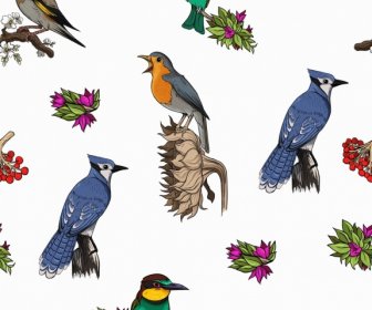 Birds Species Pattern Bright Colorful Repeating Decor