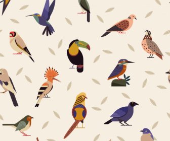 Birds Species Pattern Colorful Classical Decor