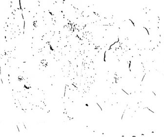 vektor tekstur bintik hitam