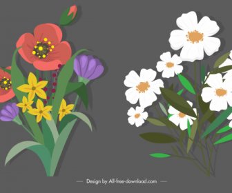 Iconos Botánicos Florecientes Colorido Boceto Clásico