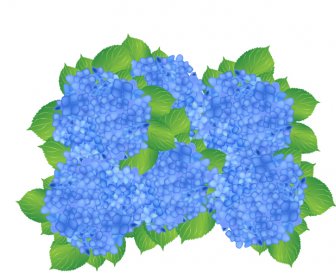 Azul Hortênsia Flores