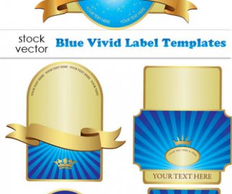 Vettore Degli Elementi Di Disegno Etichetta Blu Vivido