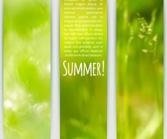 Blurred Green Summer Banner Vector