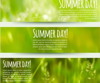Blurred Green Summer Banner Vector