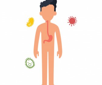 body and stomach keep the body from germs virus and bacteria