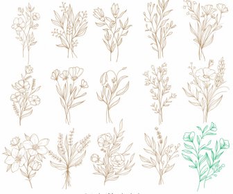 Botanische Ikonen Klassische Handgezeichnete Skizze