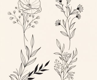 Botanical Leaves Plants Icons Handdrawn Sketch