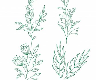 Plantas Botánicas Iconos Clásico Dibujado A Mano Boceto