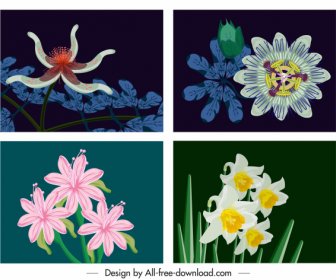 Botany Background Templates Colorful Classical Design