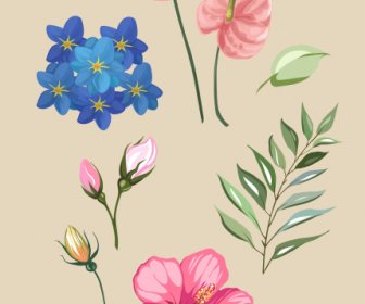Botanik Design Elemente Blütenblätter Blatt Skizze Elegante Klassische