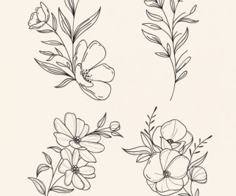 Botânica ícones Preto Branco Contorno Desenhado à Mão
