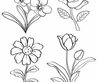 Botany Iconos Blanco Negro Dibujado A Mano Bosquejo