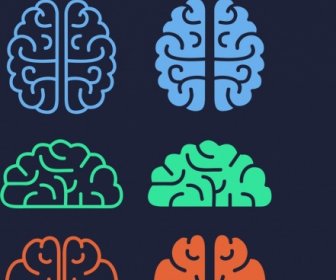 Brain Icons Collection Colored Flat Shapes