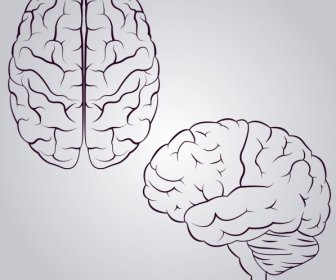 Brain Icons Design Monochrome Sketch