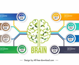 Brain Infographic Template Colorful Flat Modern Symmetry