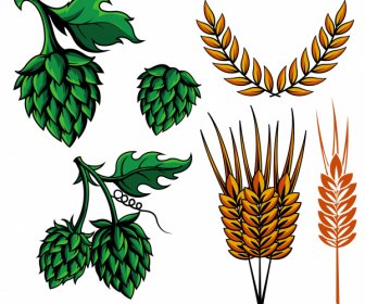 brewery design elements hops wheat sketch classical design