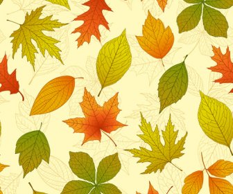 Folhas De Outono Brilhante Vector Backgrounds