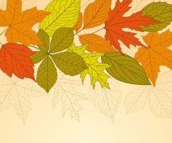 Bright Autumn Leaves Vector Backgrounds
