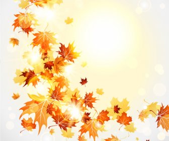 Bright In Foglie D'autunno Vettore Sfondi